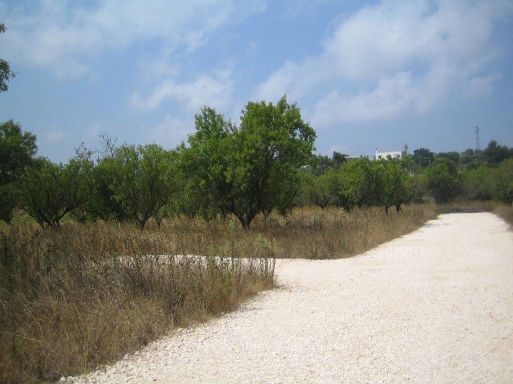 Terreno a Ostuni in Contrada Montelamorte - Foto 2