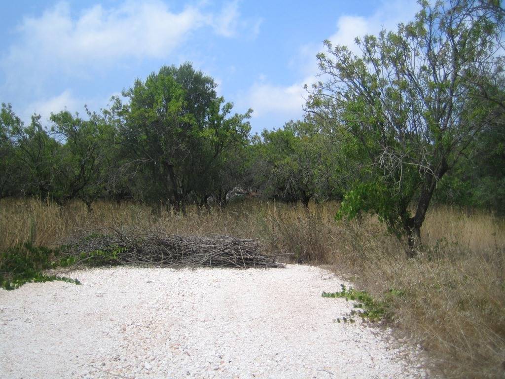 Terreno a Ostuni in Contrada Montelamorte - Foto 4