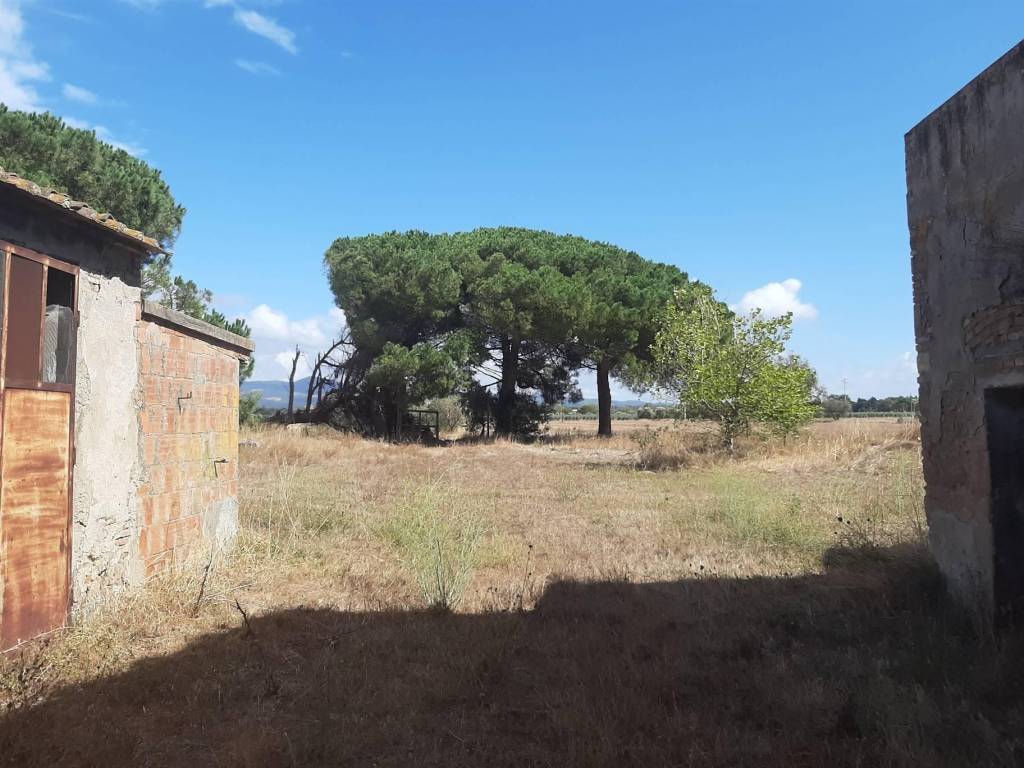 Rustico / casale a Rosignano marittimo in Stradone del Tripesce - Foto 3