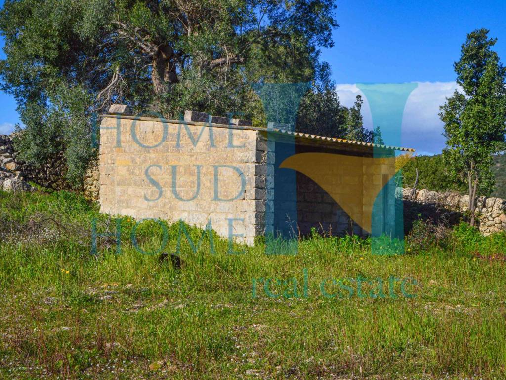 Rustico / casale a Noto in Via Tommaso Fazello, 228 - Foto 4