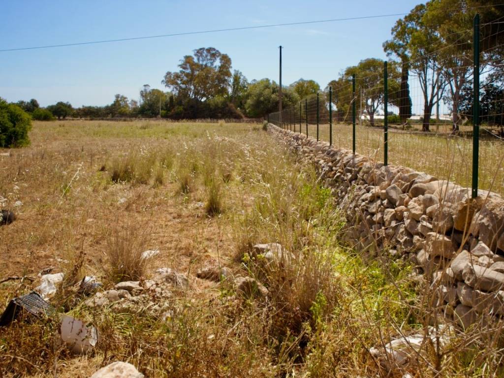 Terreno a Santa croce camerina in SP120 - Foto 5