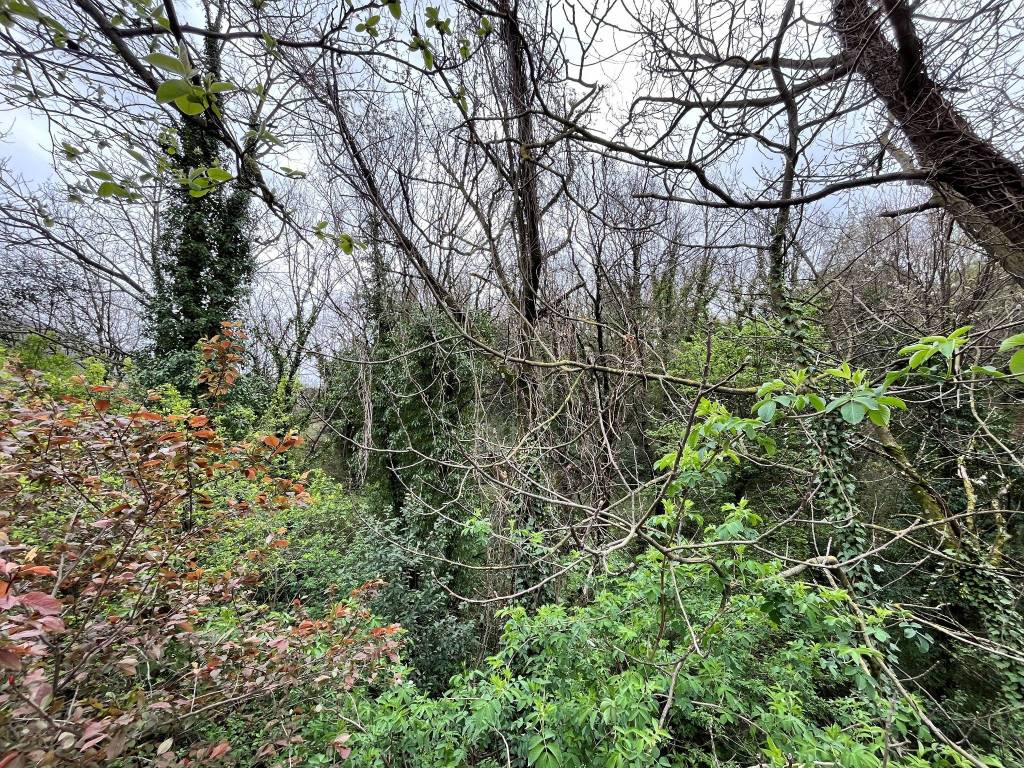 Terreno a Alatri in Via Case Mangiapelo - Foto 3