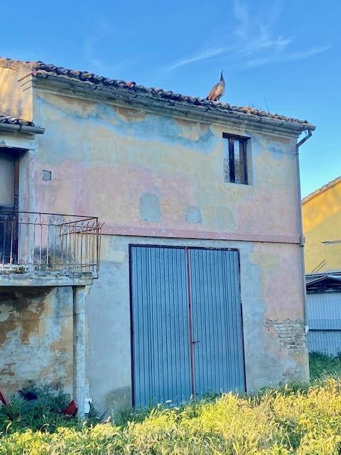 Rustico / casale a Recanati - Foto 5