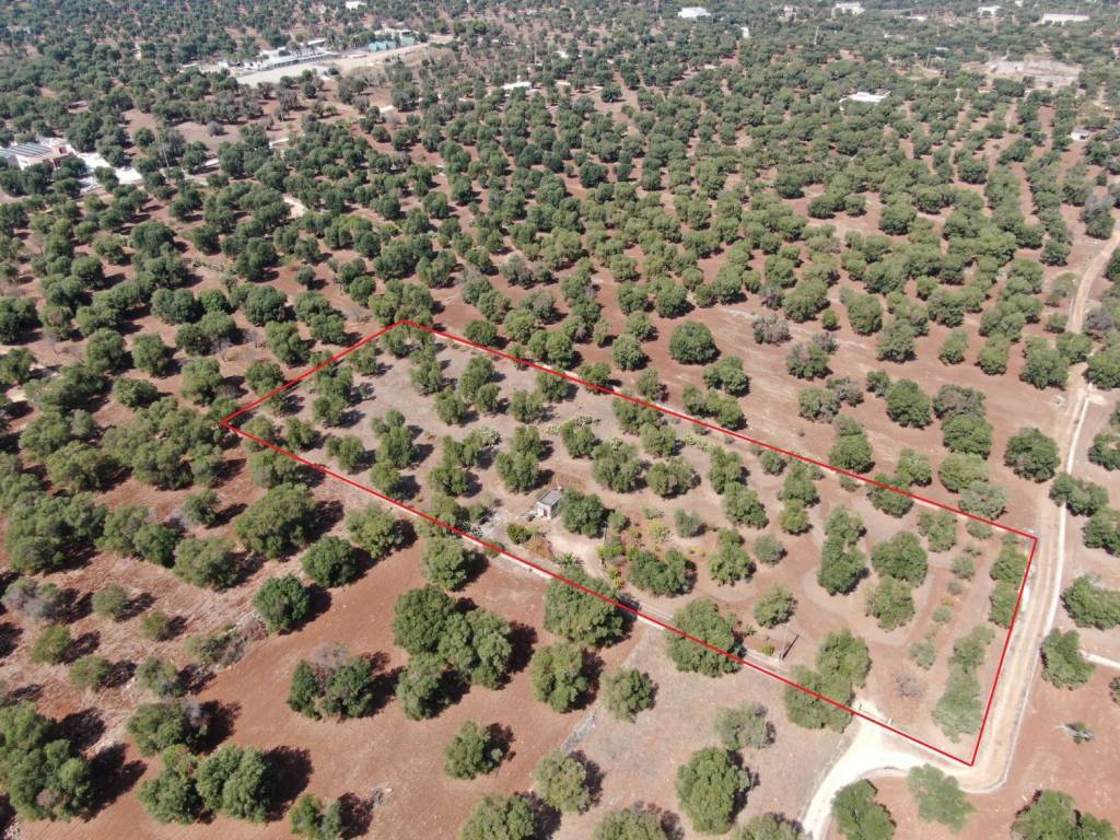 Terreno a Carovigno in SP34 - Foto 3