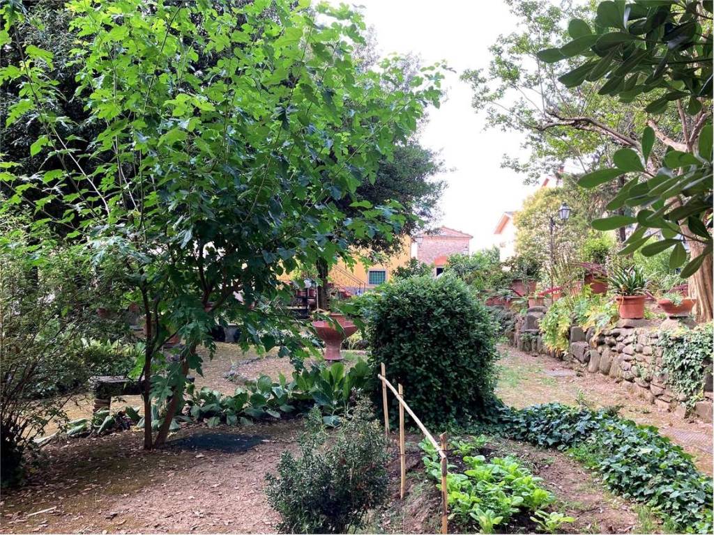 Villa a Pescia in pescia - Foto 4