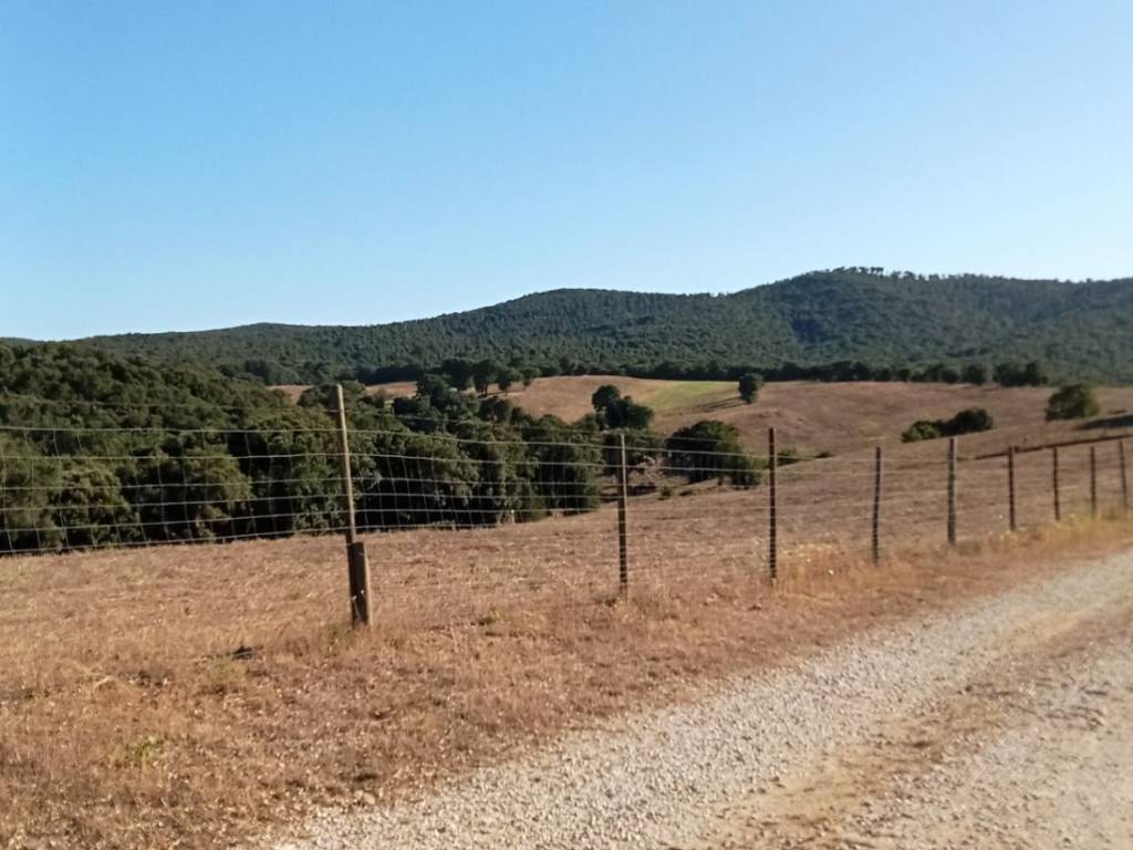 Terreno a Magliano in toscana - Foto 2