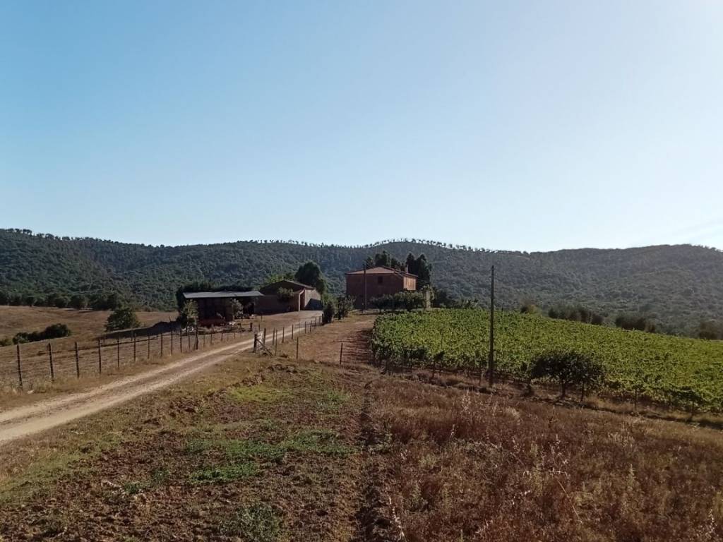 Terreno a Magliano in toscana - Foto 4