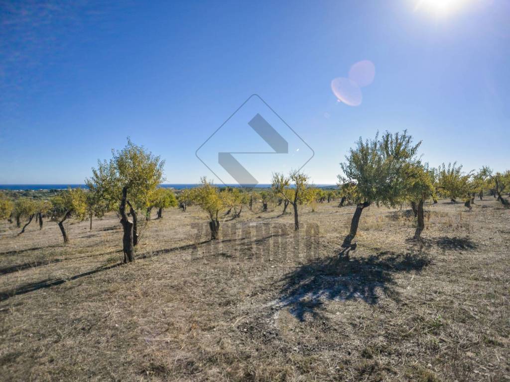 Terreno a Noto in SP59 - Foto 2