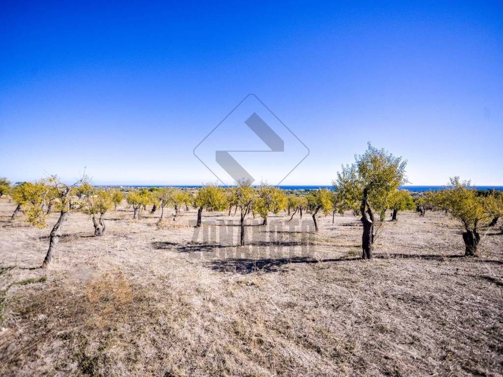 Terreno a Noto in SP59 - Foto 4