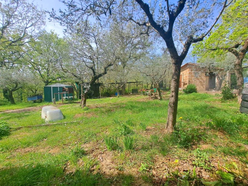 Villa a Gualdo cattaneo in Gualdo Cattaneo - Foto 5