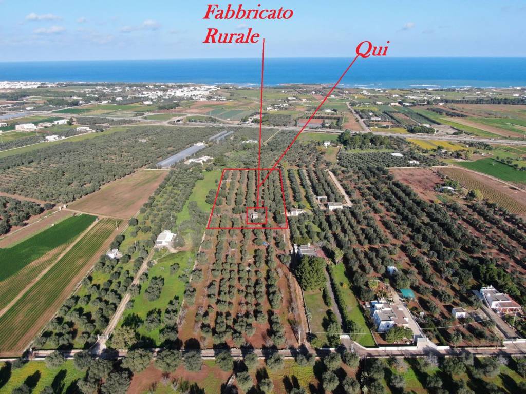 Terreno a Carovigno in Strada Statale di Egnazia - Foto 2