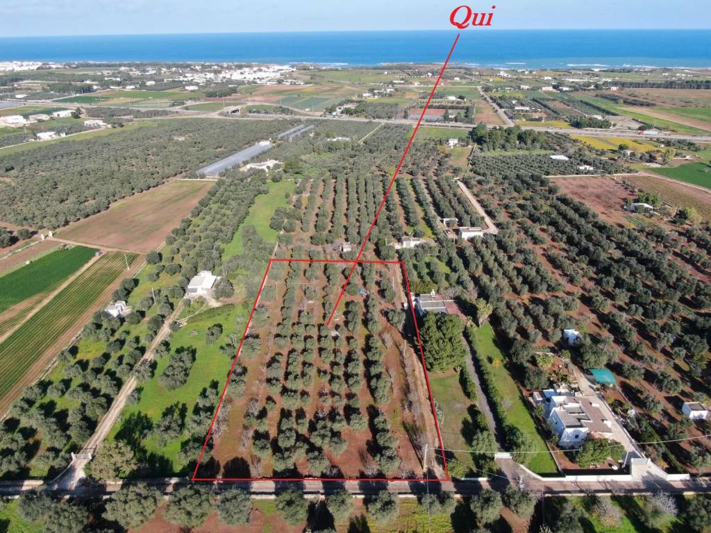 Terreno a Carovigno in Strada Statale di Egnazia - Foto 3