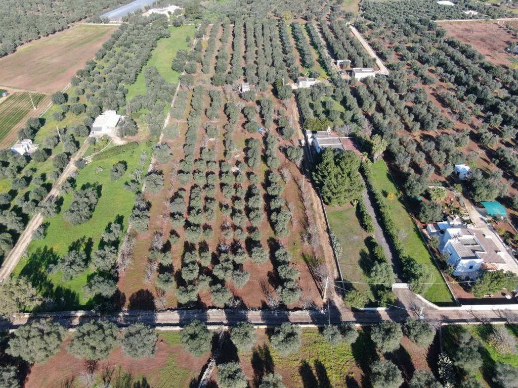 Terreno a Carovigno in Strada Statale di Egnazia - Foto 4