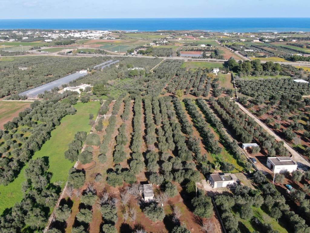 Terreno a Carovigno in Strada Statale di Egnazia - Foto 5
