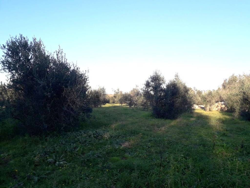 Terreno a Andrano in SP85 - Foto 3