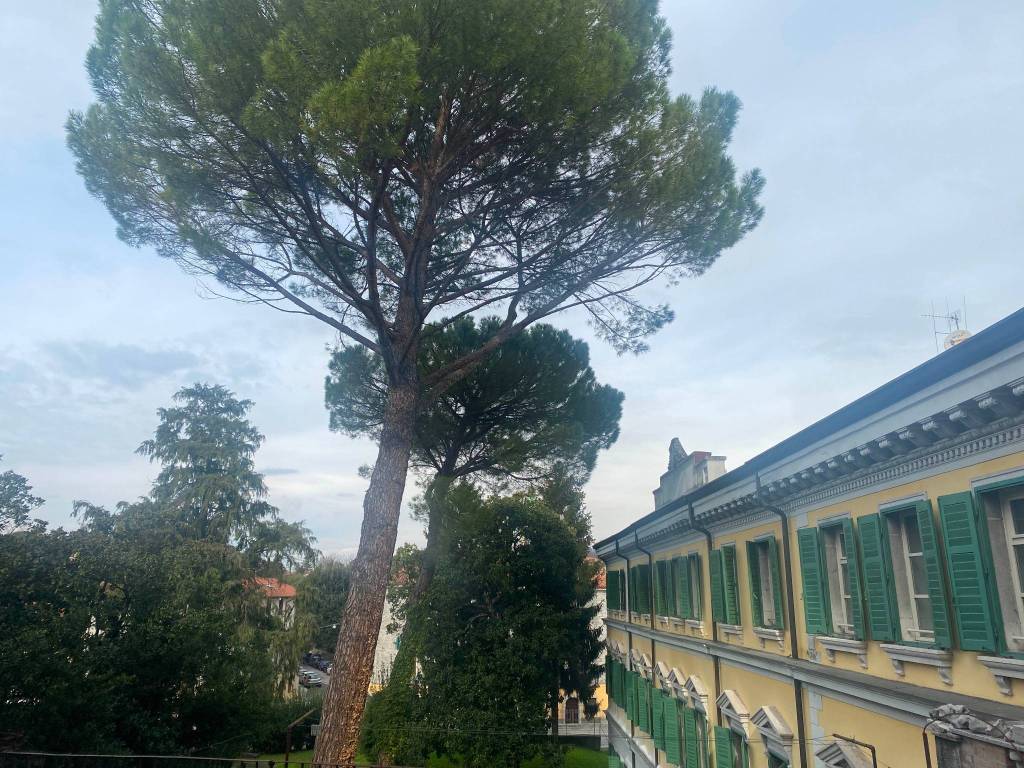 Appartamento a Gorizia in Via del Seminario, 24 - Foto 3