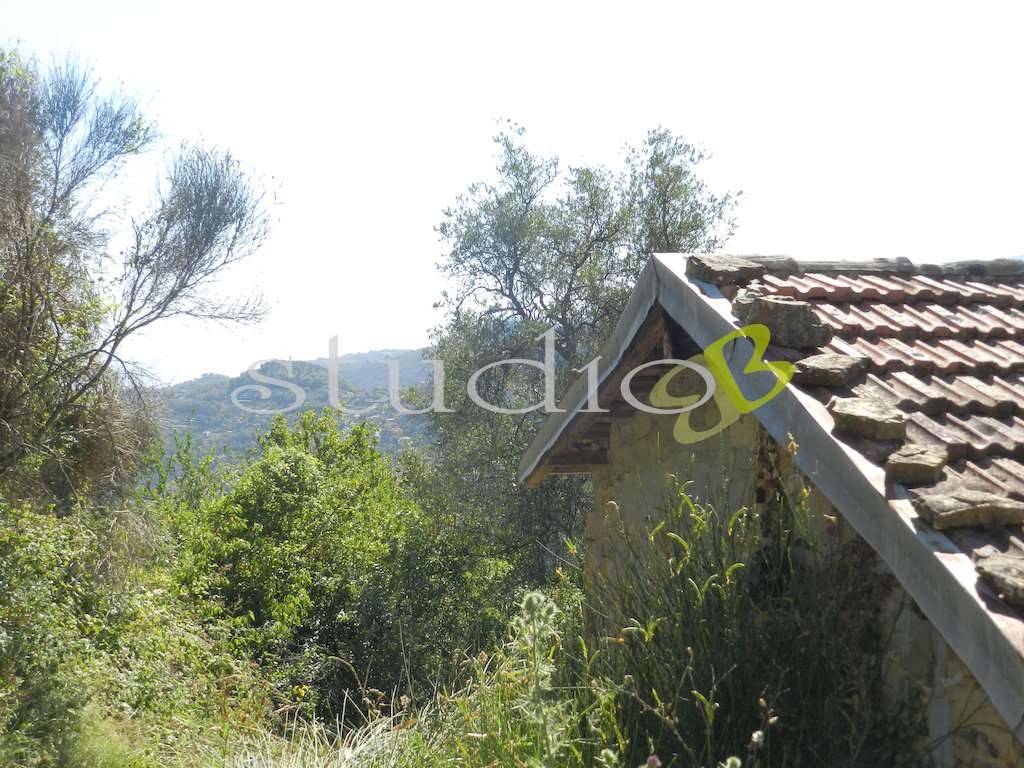 Rustico / casale a Seborga in Corso Bernardo Leone, 36 - Foto 5