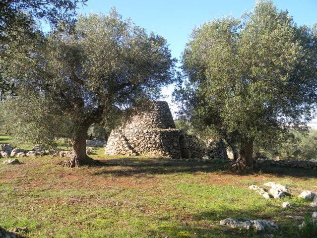 Terreno a Salve - Foto 3