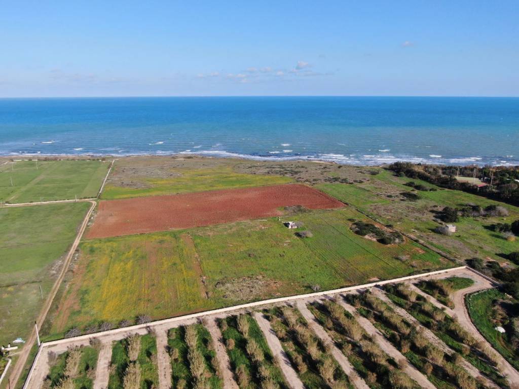 Terreno a Carovigno in Contrada Scianolecchia - Foto 3