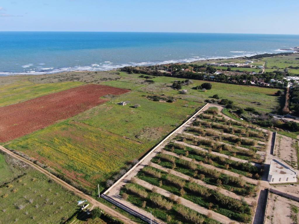 Terreno a Carovigno in Contrada Scianolecchia - Foto 5
