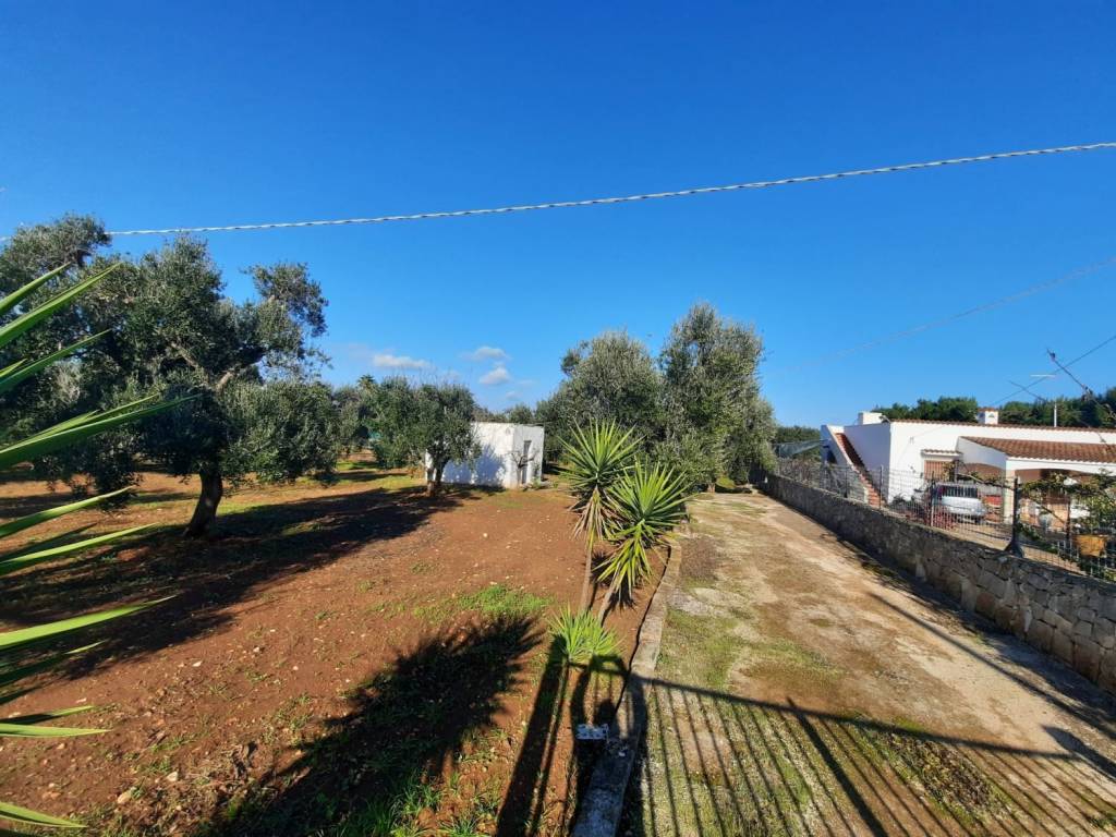 Rustico / casale a Carovigno in Morgicchio - Foto 3