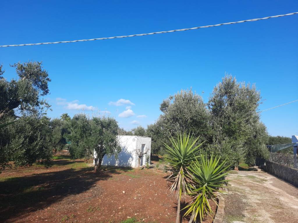 Rustico / casale a Carovigno in Morgicchio - Foto 4