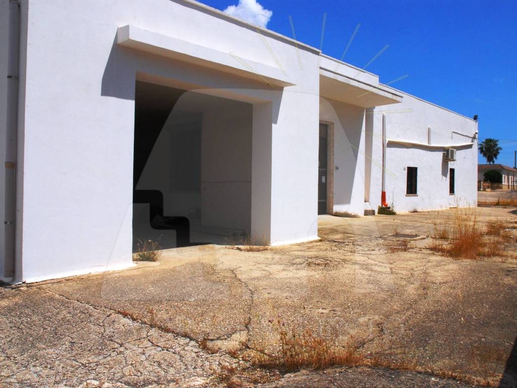 Palazzo / stabile a Alessano in Via Matine, 88 - Foto 5