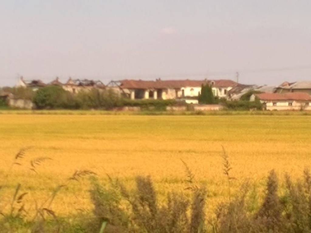 Palazzo / stabile a Costanzana in Cascina Nuova - Foto 2