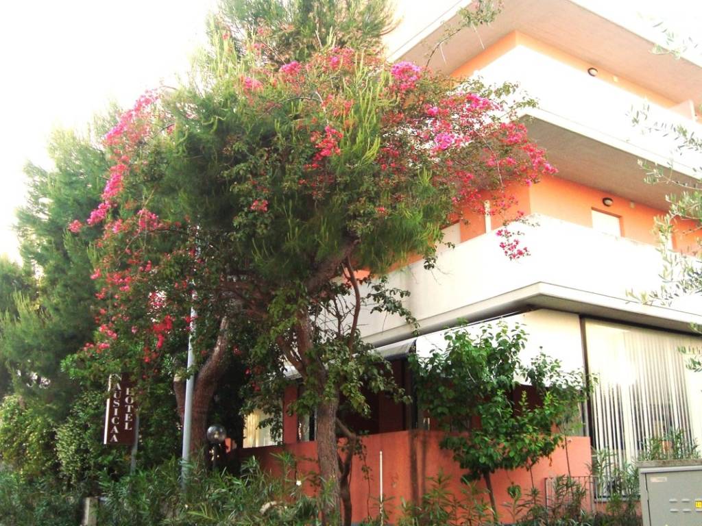 Palazzo / stabile a Tortoreto in Via G. Marconi, 0 - Foto 4