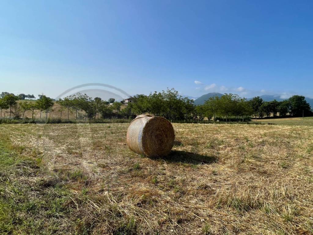 Rustico / casale a Pontecorvo in Contrada Melfi di Sopra - Foto 4