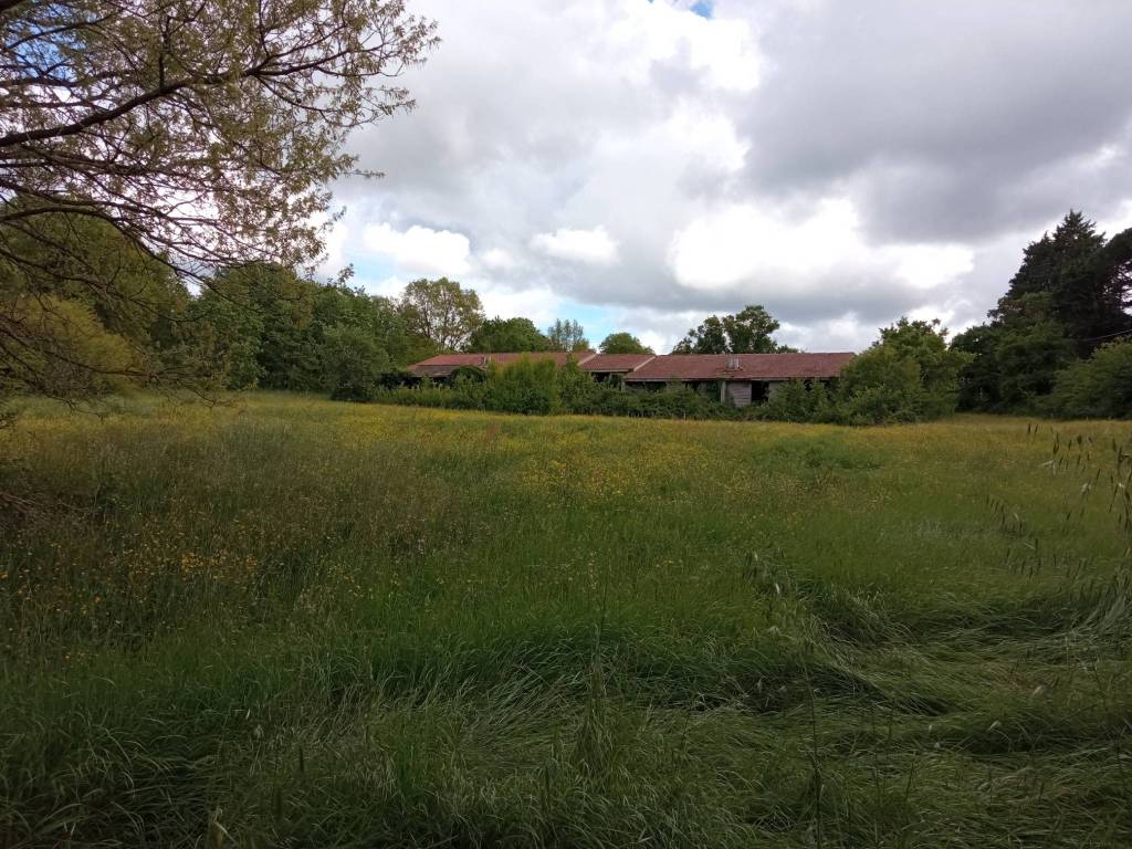 Terreno a Vetralla in Località San Quirico - Foto 2