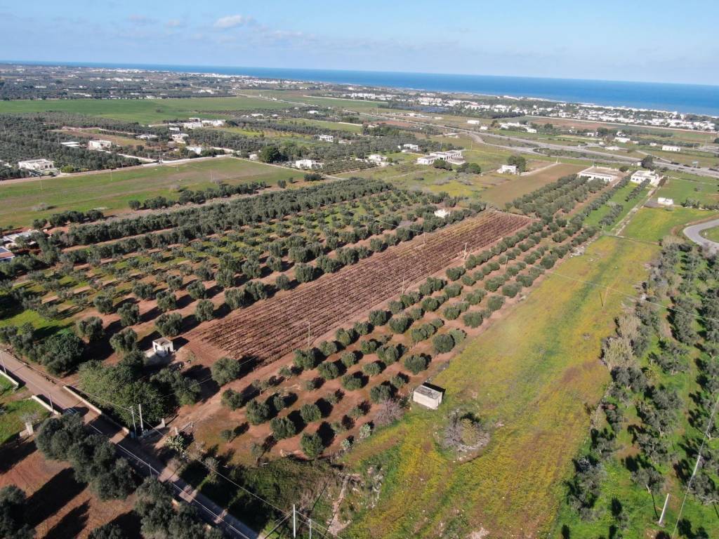 Terreno a Carovigno in Contrada Caselli Morggicchio - Foto 2