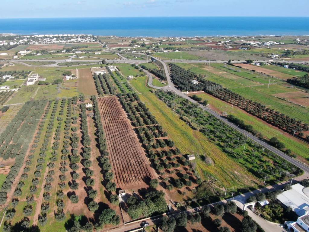 Terreno a Carovigno in Contrada Caselli Morggicchio - Foto 4