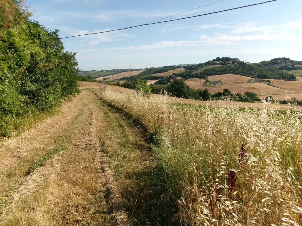 Terreno a Agugliano in Contrada Frasca S.N.C. - Foto 2