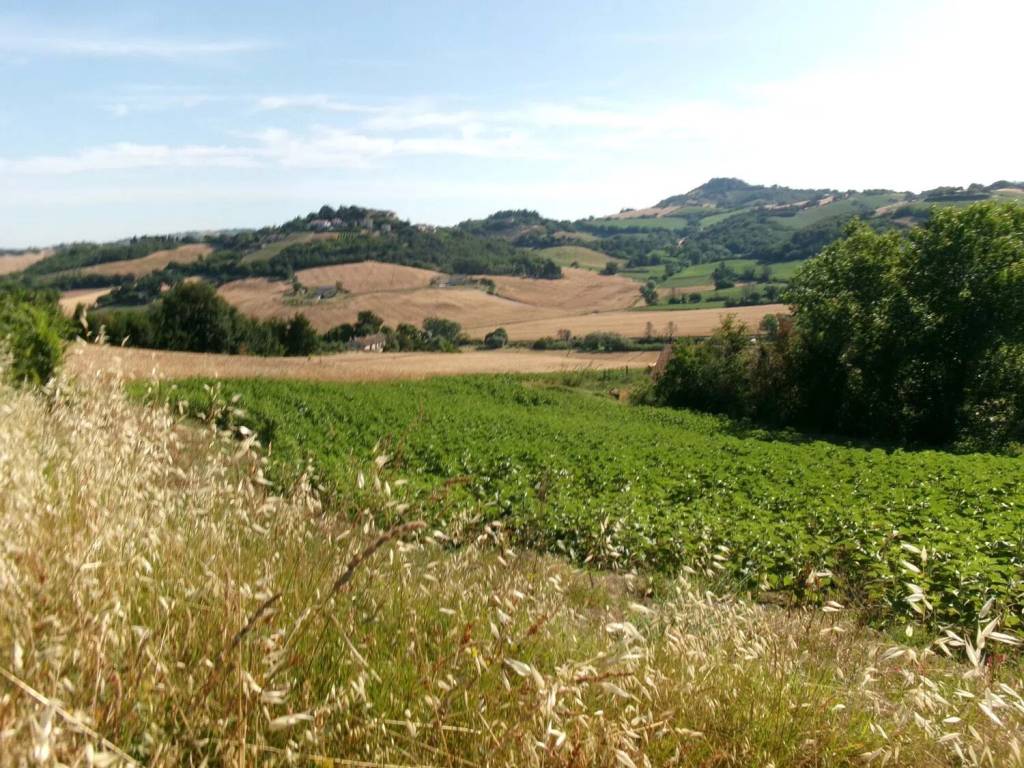Terreno a Agugliano in Contrada Frasca S.N.C. - Foto 3