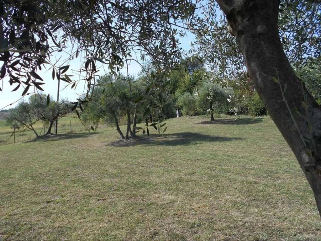 Terreno a Agugliano in Contrada Frasca S.N.C. - Foto 4