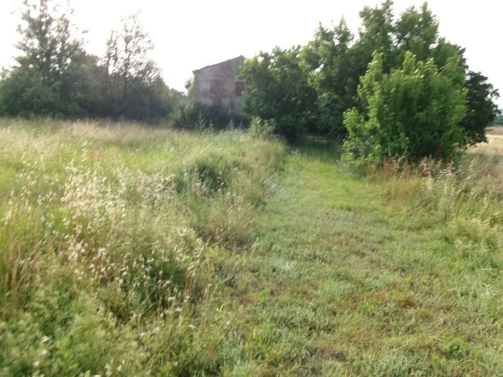 Rustico / casale a Chiaravalle in Via Sant'Andrea, 20 - Foto 2
