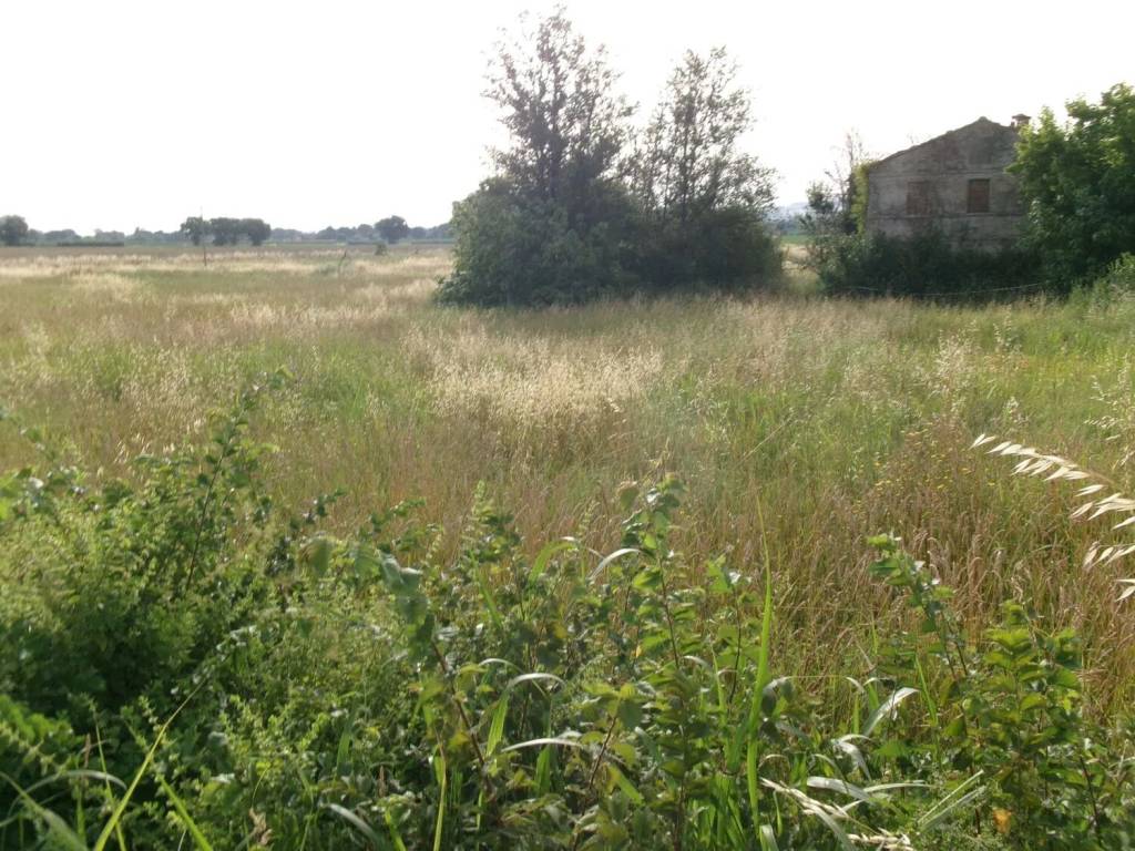 Rustico / casale a Chiaravalle in Via Sant'Andrea, 20 - Foto 3