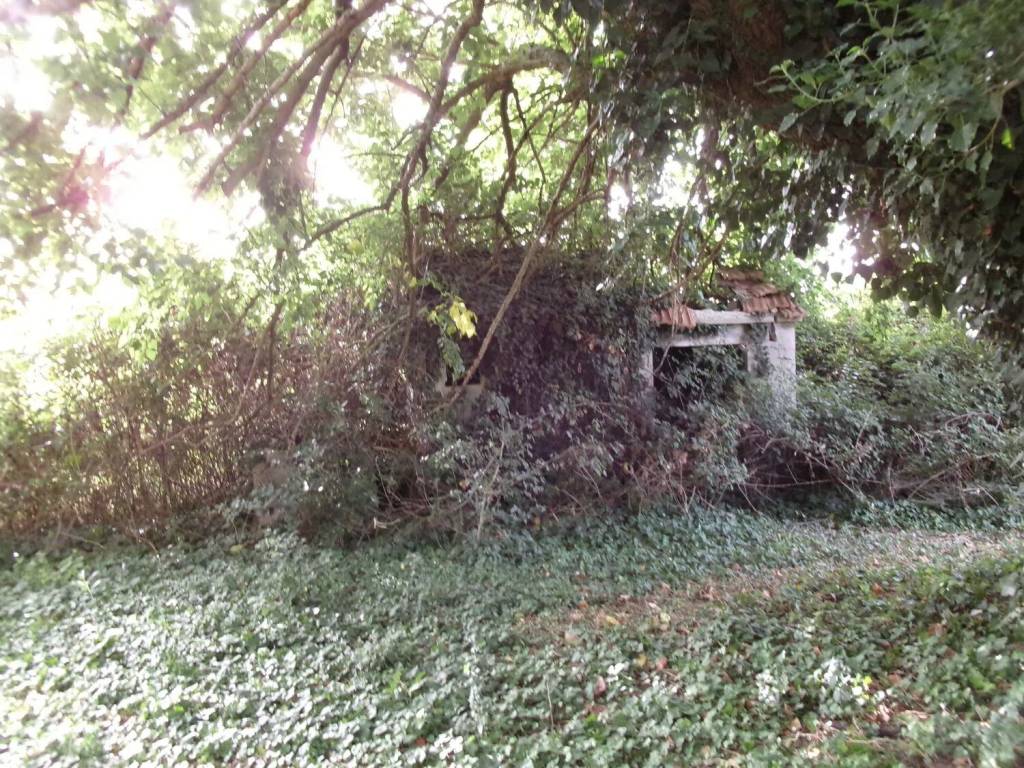 Rustico / casale a Chiaravalle in Via Sant'Andrea, 20 - Foto 4