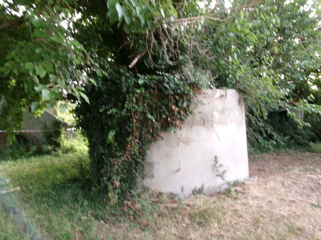 Rustico / casale a Chiaravalle in Via Sant'Andrea, 20 - Foto 5
