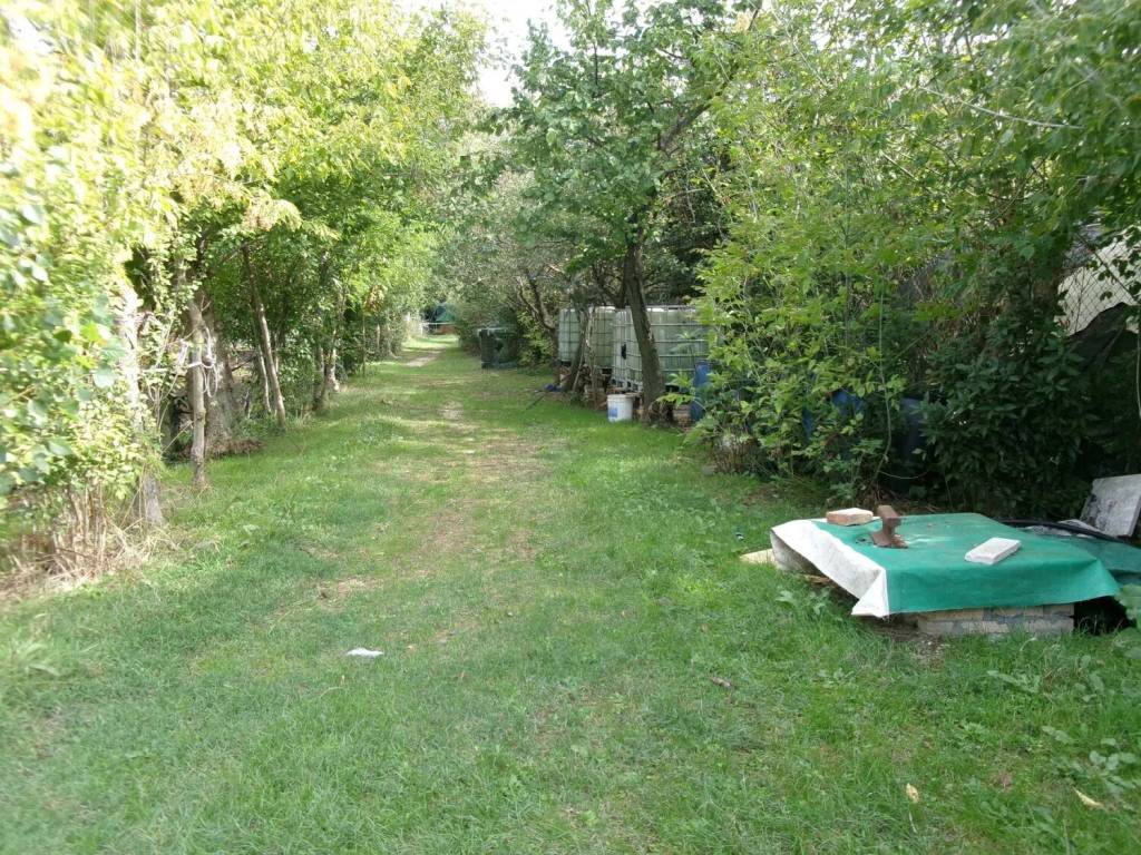 Rustico / casale a Chiaravalle in Grancetta S.N.C. - Foto 2