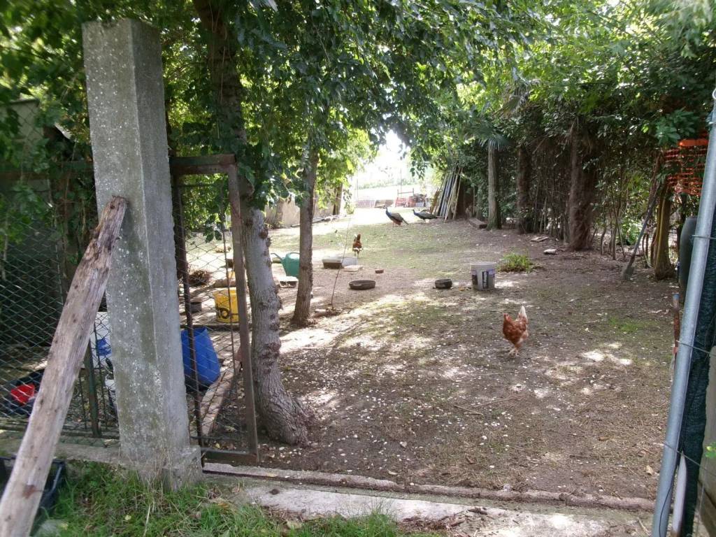 Rustico / casale a Chiaravalle in Grancetta S.N.C. - Foto 3