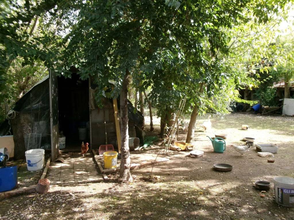 Rustico / casale a Chiaravalle in Grancetta S.N.C. - Foto 4