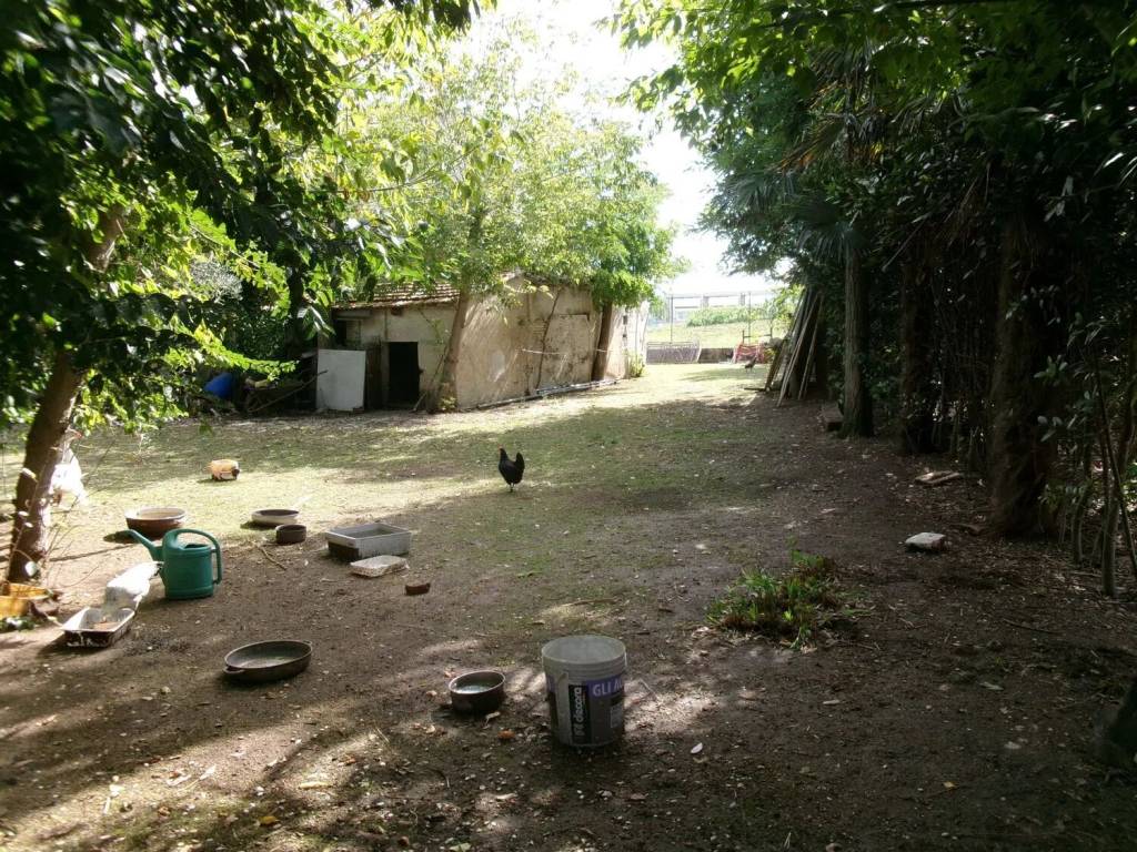 Rustico / casale a Chiaravalle in Grancetta S.N.C. - Foto 5