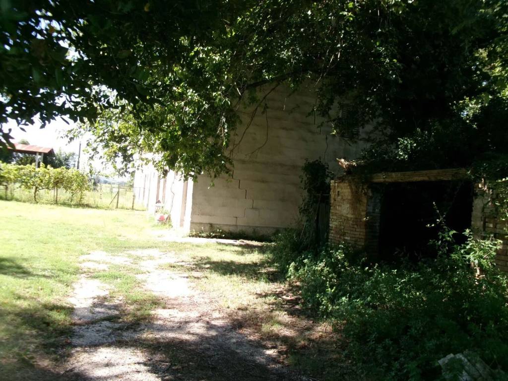 Rustico / casale a Jesi in Via Coppetella S.N.C. - Foto 5