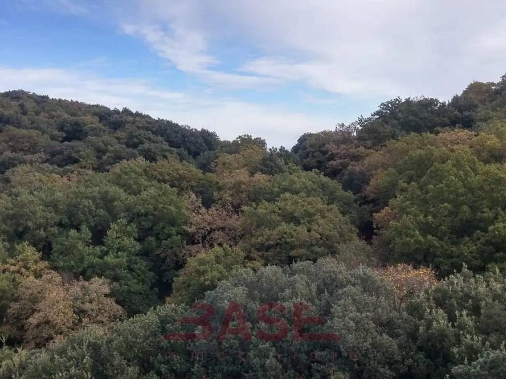 Terreno a Guardistallo in Via Casino di Terra, 40 - Foto 2