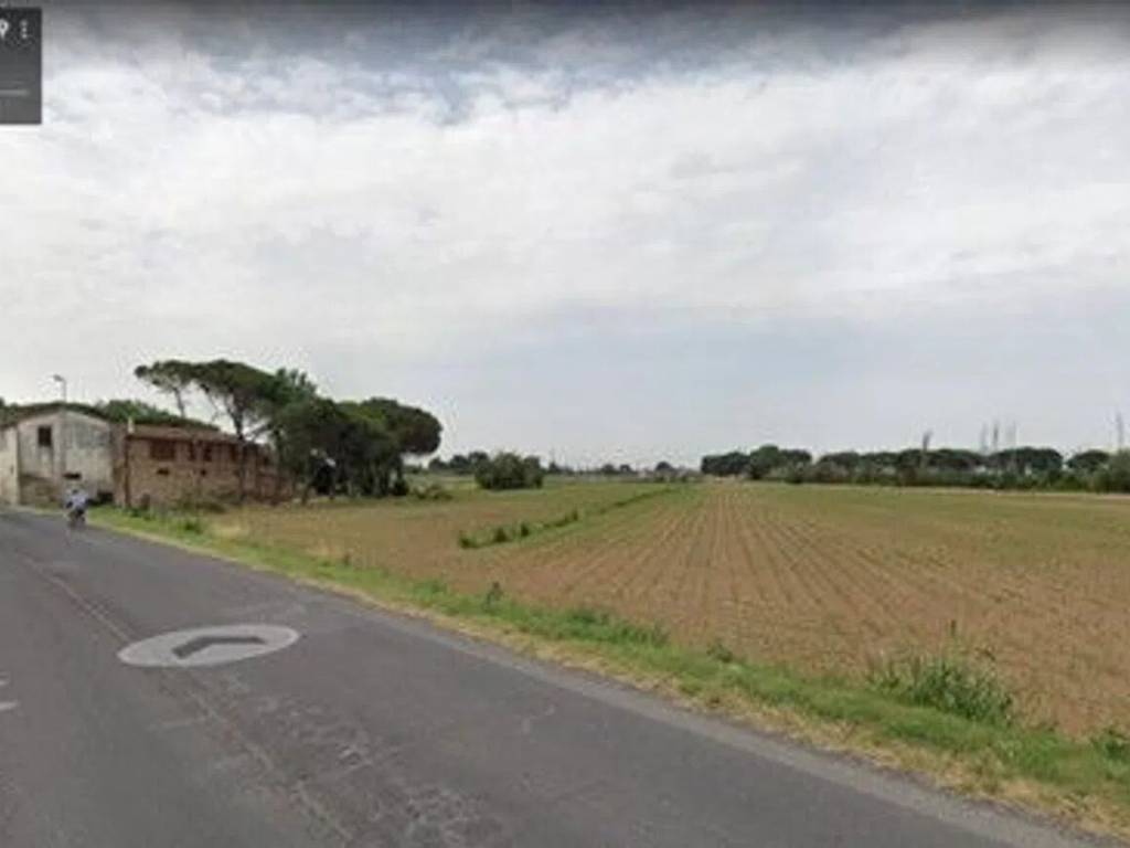 Terreno a Monsummano terme - Foto 5
