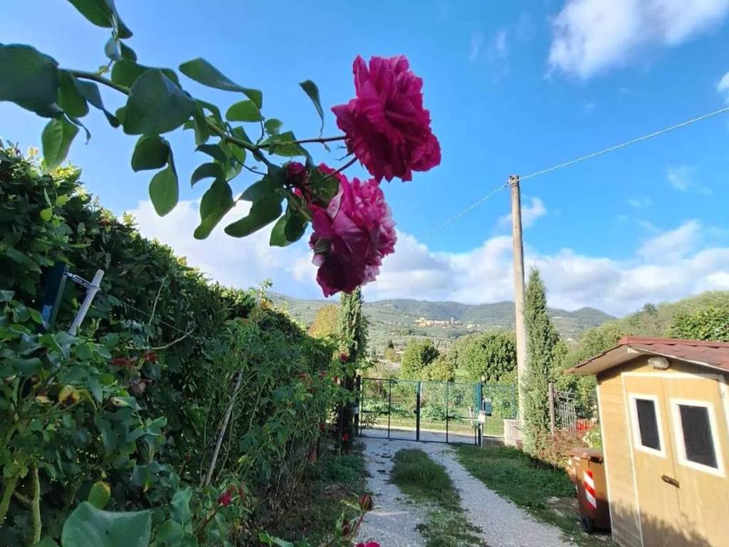 Villa a Buggiano in Via Falciano S.N.C. - Foto 2