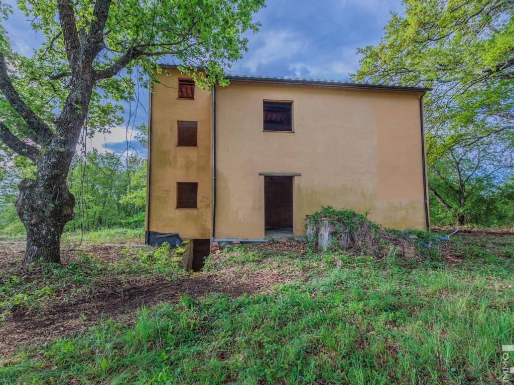 Rustico / casale a Sorano in Strada Vicinale Castel'Ottieri - Foto 4