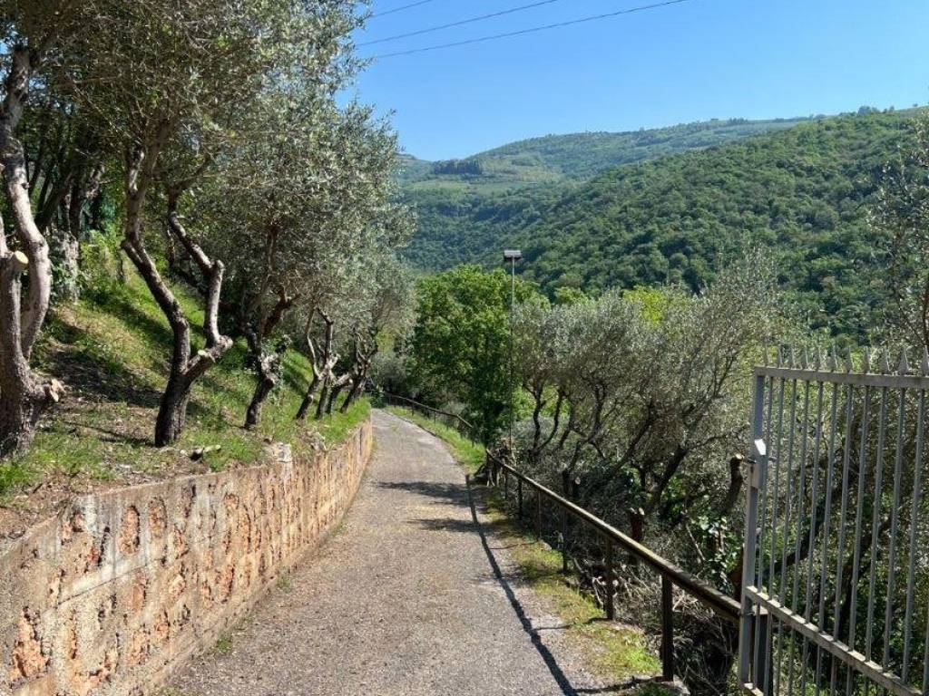 Rustico / casale a Grezzana - Foto 2